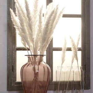Product image for  Reed dried flower home decoration Home Décor 14