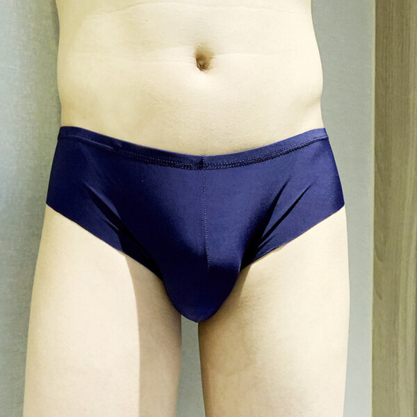 Product image for  Men’s Ice Silk Seamless Briefs Men's Clothing 5