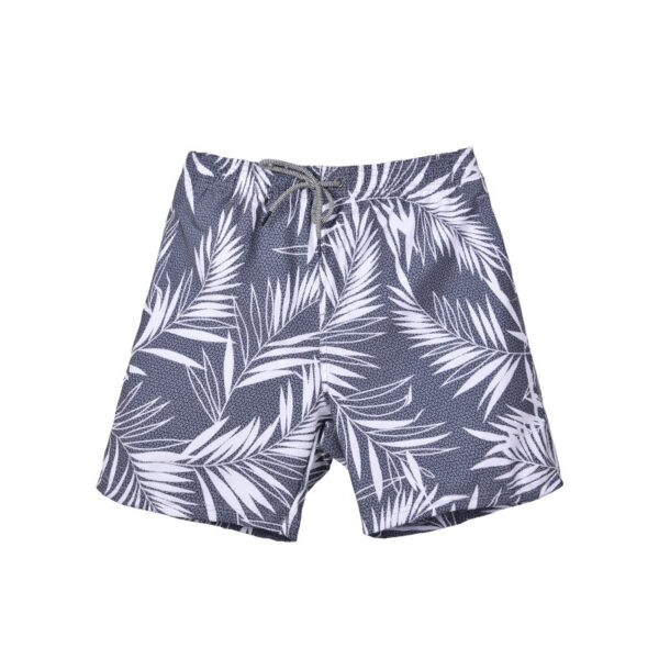 Product image for  Summer Quick-drying Shorts Men’s Beach Pants Men's Clothing 6