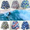 Product image for  Summer Quick-drying Shorts Men’s Beach Pants Men's Clothing 16