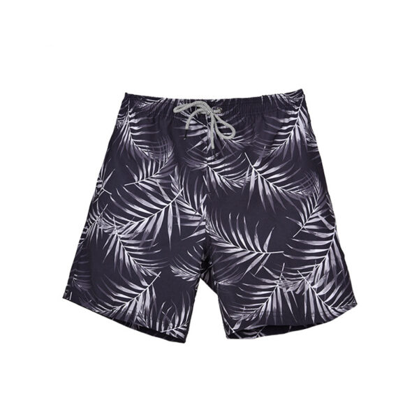 Product image for  Summer Quick-drying Shorts Men’s Beach Pants Men's Clothing 7