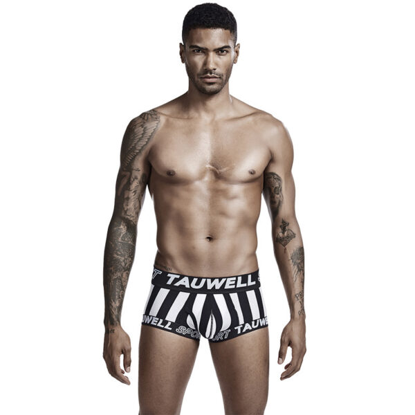 Product image for  Boxer Briefs Vertical Stripe Movement Men's Clothing 5