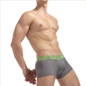 Product image for  Men’s Underwear Nylon Ice Silk Men's Clothing 19
