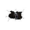 Product image for  Mobile Phone Signal Enhancement Patch, Computer External Antenna Home Décor 8