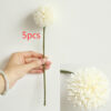 White5pcs