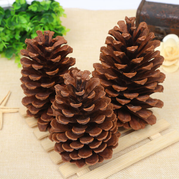Product image for  Creative Decoration Shooting Props Dried Flower Pine Cone Home Décor 7