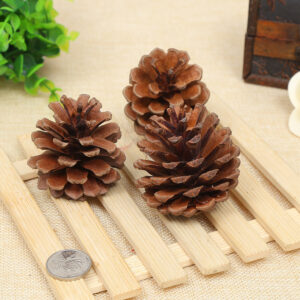 Product image for  Creative Decoration Shooting Props Dried Flower Pine Cone Home Décor 19