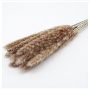 Product image for  Reed Flowers Wedding Photography Interior Decoration Arts, Crafts & Sewing 15