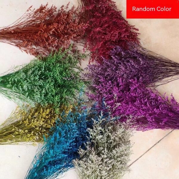 Product image for  Dried Flower Diy Material Home Flower Arrangement Wheat Starry Bouquet Home Décor 6