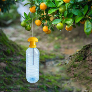 Product image for  Fruit Fly Trap Cover With Fruit Fly Attractant Home Décor 9