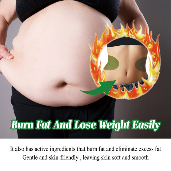 Product image for  Argy Wormwood Slimming Waist Paste Dehumidifying Body Shaping Home Décor 5