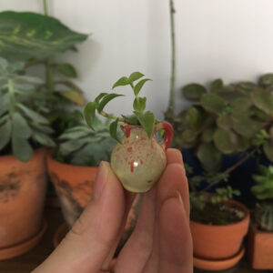 Product image for  Creative mini half glazed thumb flower pot Home Décor 7