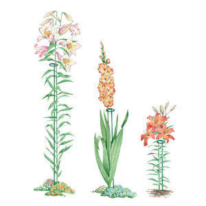 Product image for  Garden single stem support pile Home Décor 12