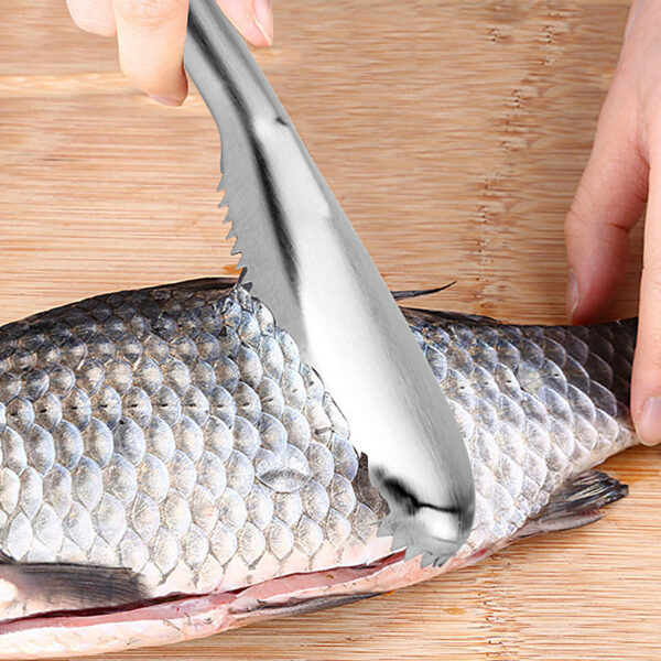 Product image for  Fish Scale Remover Tool Stainless Steel Home Décor 4