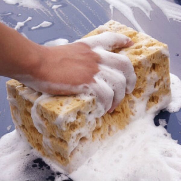 Product image for  Coral Sponge Honeycomb Car Wash Sponge Foam Sponge Scrub Car Cleaning Car Beauty Home Décor 6
