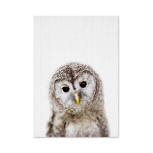 Product image for  Woodland Nursery Wall Art Animal Canvas Painting Artworks 18