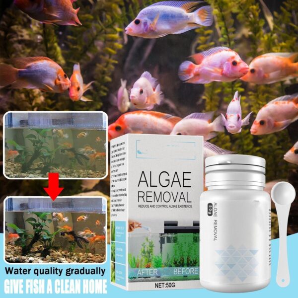 Product image for  Aquarium Algae-removing Potion Moss-removing Agent Home Décor 7