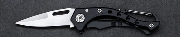 Product image for  Stainless Steel Small Folding Knife EDC Fruit Knife With Keychain Home Décor 10