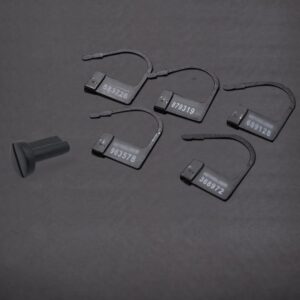 Product image for  International Version Code Pin Men’s Cobra Chastity Lock Home Décor 10