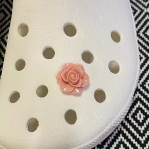 Product image for  Universal Accessory Temperament Of Hole Shoes Home Décor 15