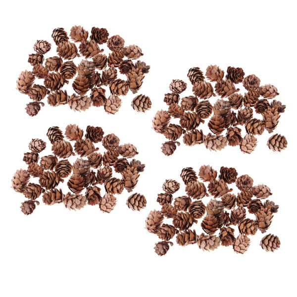 Product image for  Forest literature and art RETRO pine cones Home Décor 8