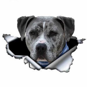 Product image for  Funny Creative Personality 3D Pet Cartoon Dog Car Sticker Home Décor 15