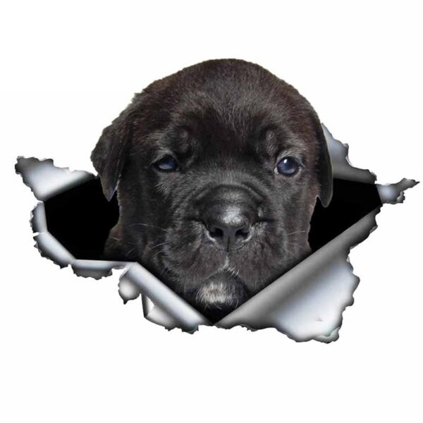 Product image for  Funny Creative Personality 3D Pet Cartoon Dog Car Sticker Home Décor 7