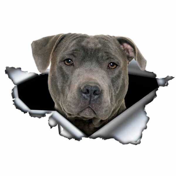 Product image for  Funny Creative Personality 3D Pet Cartoon Dog Car Sticker Home Décor 12
