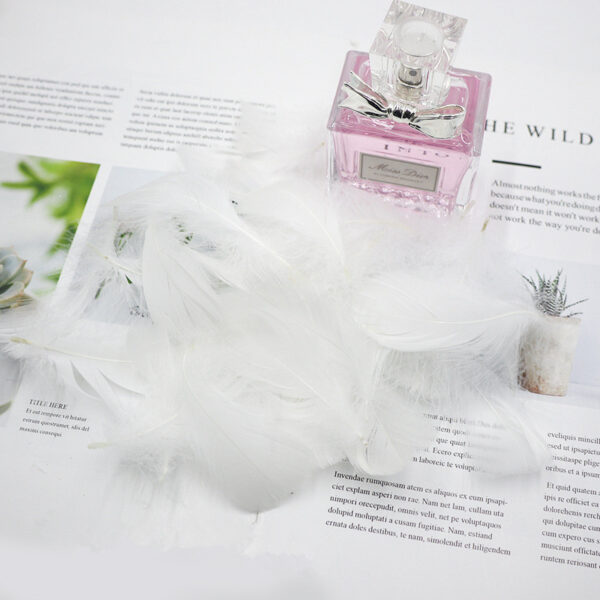 Product image for  Gift Box Decoration Fillings Handmade DIY Natural Feathers Home Décor 6