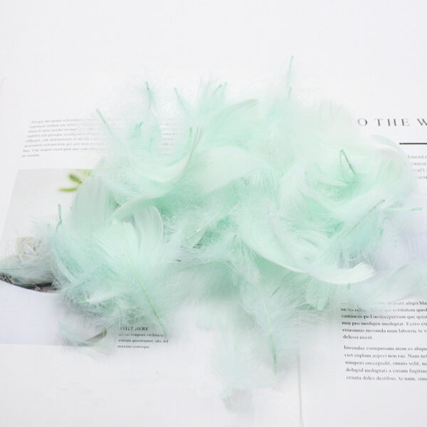 Product image for  Gift Box Decoration Fillings Handmade DIY Natural Feathers Home Décor 8