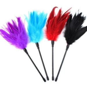 Product image for  Feather Teaser Red Feather Stick Toy Supplies Home Décor 9